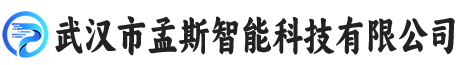 武汉市孟斯智能科技有限公司